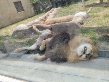 東武動物公園に投稿された画像（2022/6/5）