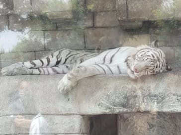 東武動物公園に投稿された画像（2022/6/5）