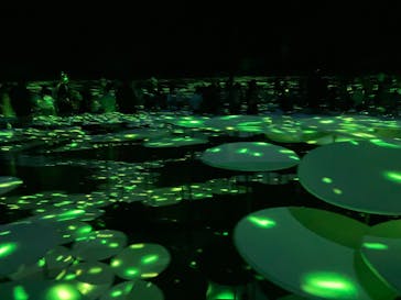 森ビル デジタルアート ミュージアム：エプソン チームラボボーダレスに投稿された画像（2022/6/5）