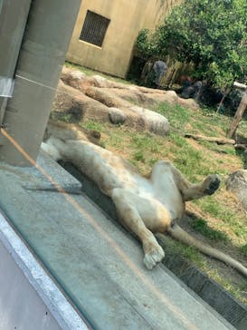 東武動物公園に投稿された画像（2022/6/5）