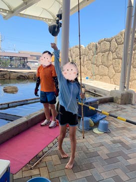 志摩市浜島磯体験施設 海ほおずきに投稿された画像（2022/6/5）