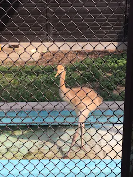 天王寺動物園に投稿された画像（2022/6/5）