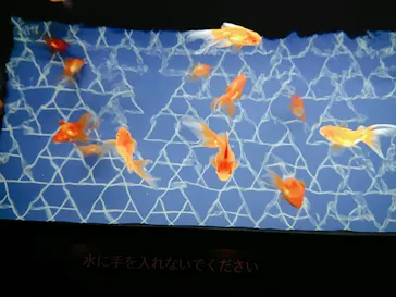 すみだ水族館に投稿された画像（2022/6/5）