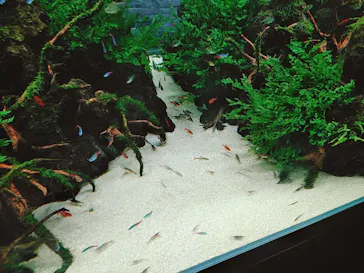 すみだ水族館に投稿された画像（2022/6/5）