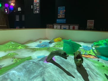 リトルプラネット KITE MITE MATSUDOに投稿された画像（2022/6/5）