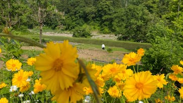 大地の芸術祭 実行委員会に投稿された画像（2022/6/5）