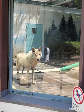 天王寺動物園に投稿された画像（2022/6/5）