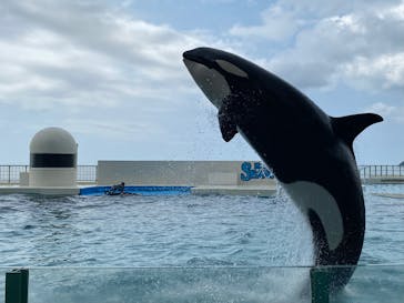 鴨川シーワールドに投稿された画像（2022/6/5）