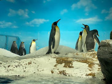 鴨川シーワールドに投稿された画像（2022/6/5）