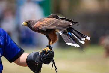 九十九島動植物園森きららに投稿された画像（2022/6/4）