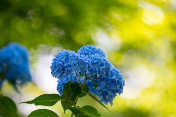 九十九島動植物園森きららに投稿された画像（2022/6/4）