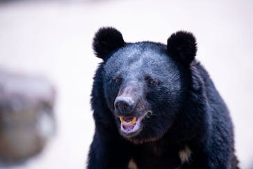 九十九島動植物園森きららに投稿された画像（2022/6/4）