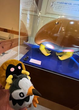 国立科学博物館　特別企画展「ポケモン化石博物館」に投稿された画像（2022/6/5）