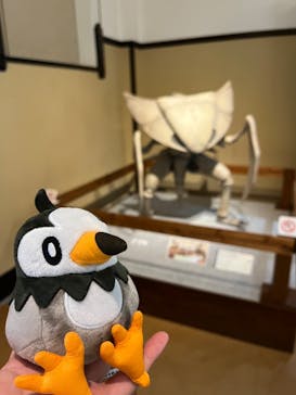 国立科学博物館　特別企画展「ポケモン化石博物館」に投稿された画像（2022/6/5）