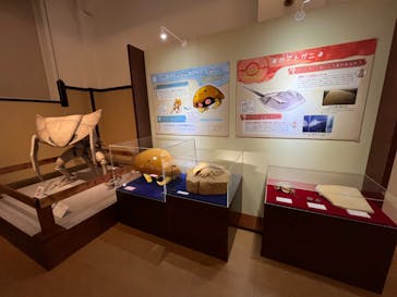 国立科学博物館　特別企画展「ポケモン化石博物館」に投稿された画像（2022/6/5）