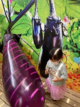 鈴鹿サーキットに投稿された画像（2022/6/6）