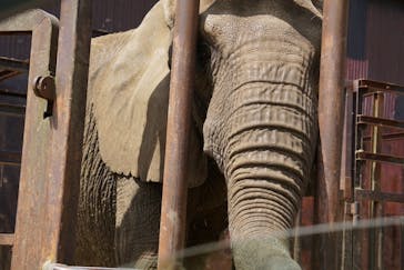 東北サファリパークに投稿された画像（2022/6/6）