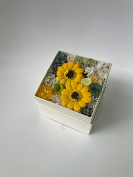 ずこうしつ〜sugamo〜に投稿された画像（2022/6/6）