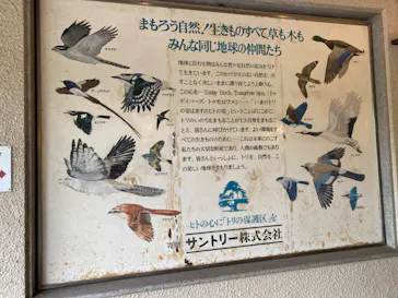 天王寺動物園に投稿された画像（2022/6/6）