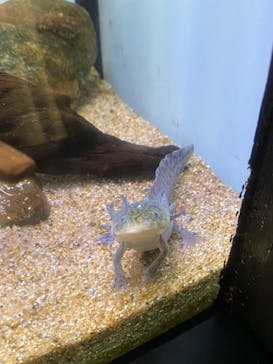 サンシャイン水族館に投稿された画像（2022/6/6）