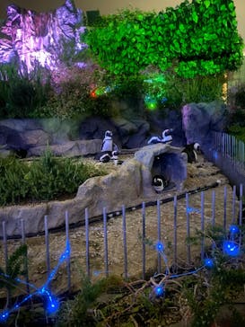 サンシャイン水族館に投稿された画像（2022/6/6）