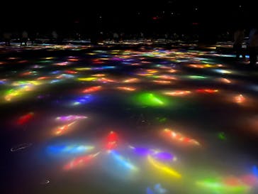 チームラボプラネッツ TOKYO DMMに投稿された画像（2022/6/6）