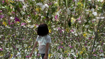 チームラボプラネッツ TOKYO DMMに投稿された画像（2022/6/6）