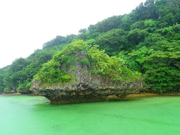 石垣島 ADVENTURE PiPi（イシガキジマアドベンチャーピピ）に投稿された画像（2022/6/6）