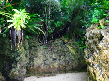 石垣島 ADVENTURE PiPi（イシガキジマアドベンチャーピピ）に投稿された画像（2022/6/6）