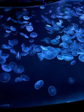 すみだ水族館に投稿された画像（2022/6/6）