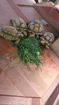 株式会社Gに投稿された画像（2022/6/6）