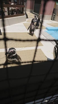 株式会社Gに投稿された画像（2022/6/6）