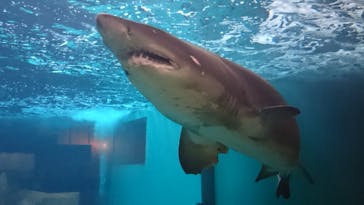 株式会社Gに投稿された画像（2022/6/6）