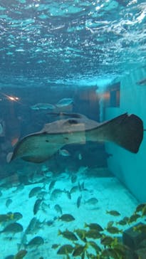 株式会社Gに投稿された画像（2022/6/6）