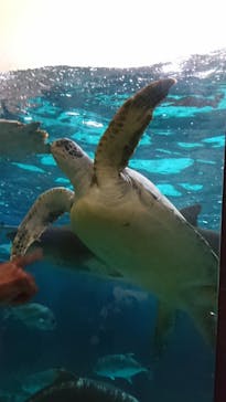 株式会社Gに投稿された画像（2022/6/6）