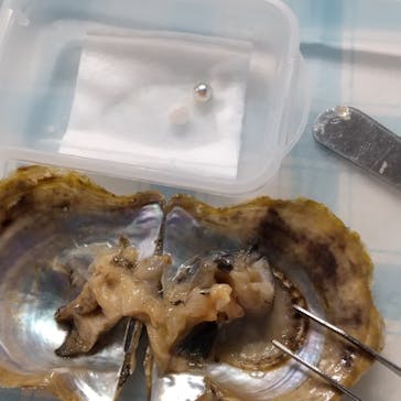 しながわ水族館に投稿された画像（2022/6/6）