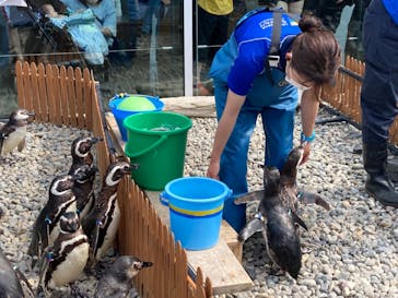 上越市立水族博物館 うみがたりに投稿された画像（2022/6/6）