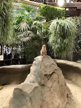 神戸どうぶつ王国に投稿された画像（2022/6/6）