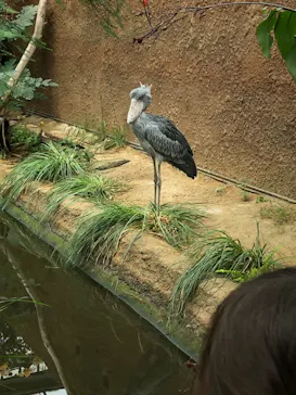 神戸どうぶつ王国に投稿された画像（2022/6/6）