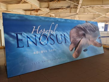 新江ノ島水族館に投稿された画像（2022/6/6）