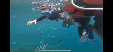 DIVING-SHOP SUNSに投稿された画像（2022/6/6）