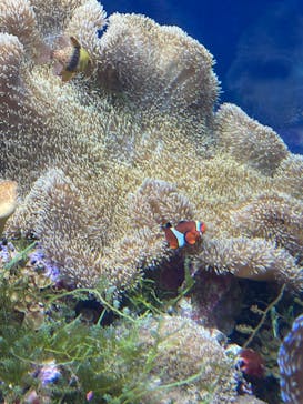 名古屋港水族館に投稿された画像（2022/6/6）