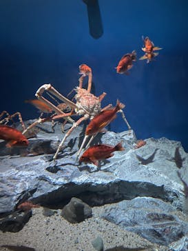 名古屋港水族館に投稿された画像（2022/6/6）