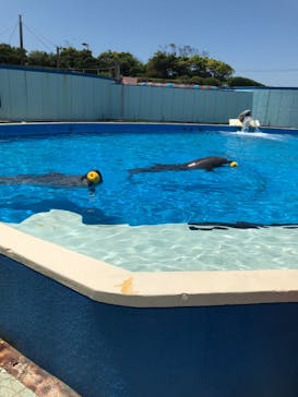 南知多ビーチランド＆南知多おもちゃ王国に投稿された画像（2022/6/6）