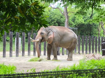 よこはま動物園ズーラシアに投稿された画像（2022/6/6）