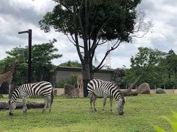 よこはま動物園ズーラシアに投稿された画像（2022/6/6）