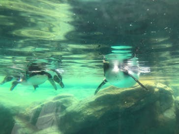 よこはま動物園ズーラシアに投稿された画像（2022/6/6）