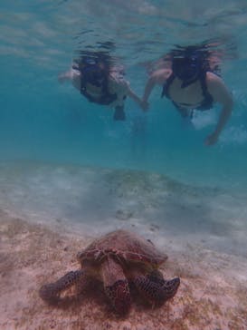 宮古島 ADVENTURE PiPi（ミヤコジマ アドベンチャー ピピ）に投稿された画像（2022/6/7）