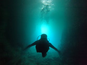 DIVING-SHOP SUNSに投稿された画像（2022/6/7）