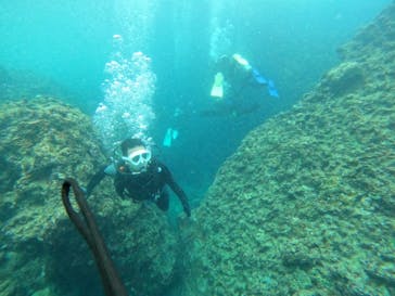 DIVING-SHOP SUNSに投稿された画像（2022/6/7）